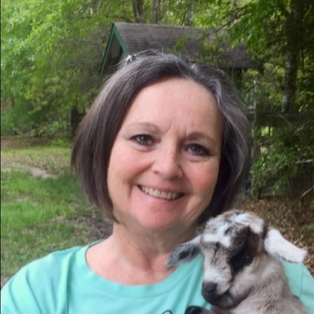 Meet your Posher, Joyce